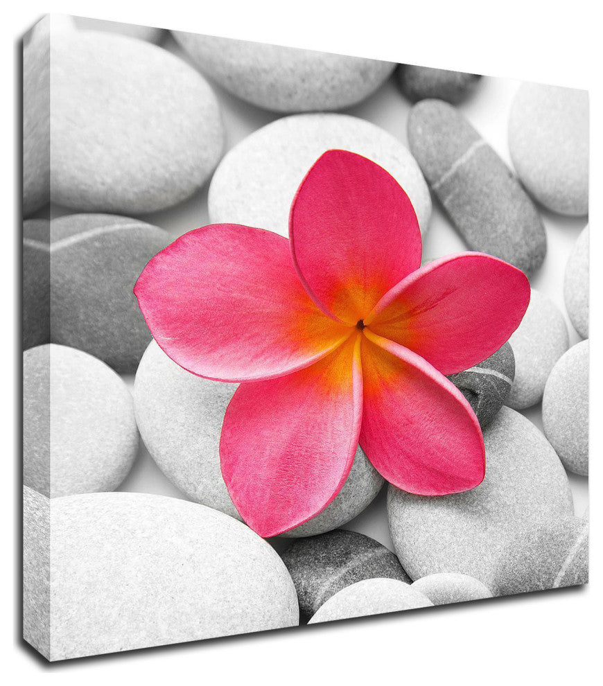"Zen Flower" by PhotoINC Studio, Print on Canvas, 24"x24"