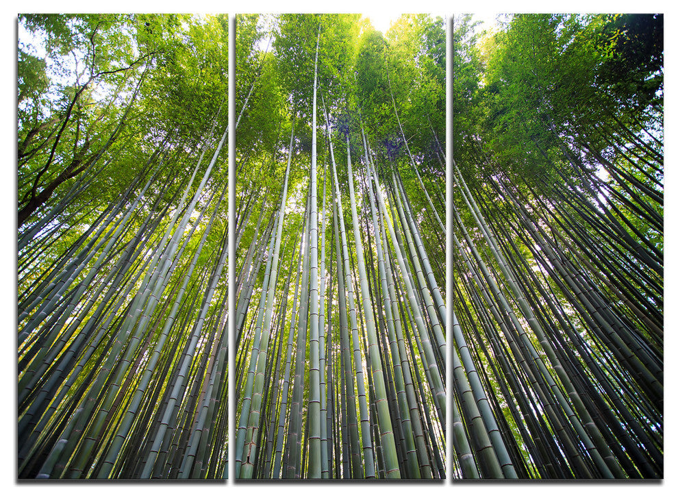 "Bamboo forest of Kyoto Japan." Canvas Wall Art Print, 3 Panels, 36"x28"