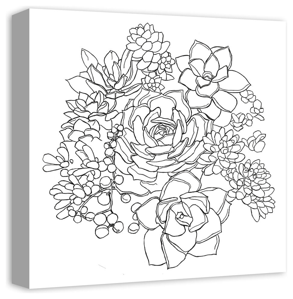 "Succulent Sketch" Canvas Wall Art, 16"x16"
