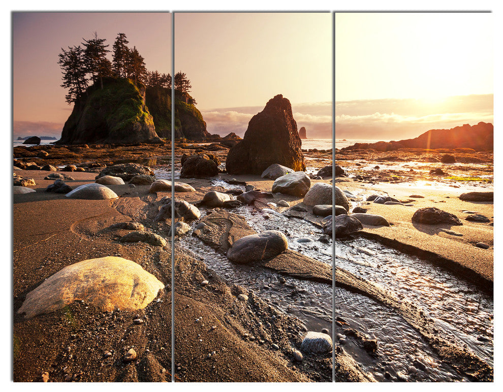 Olympic National Park Coast, Large Seashore Canvas Print, 36x28, 3 Panels