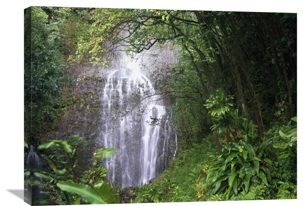 "Waterfall Along Hana Coast, Maui, Hawaii" Artwork, 32" x 24"