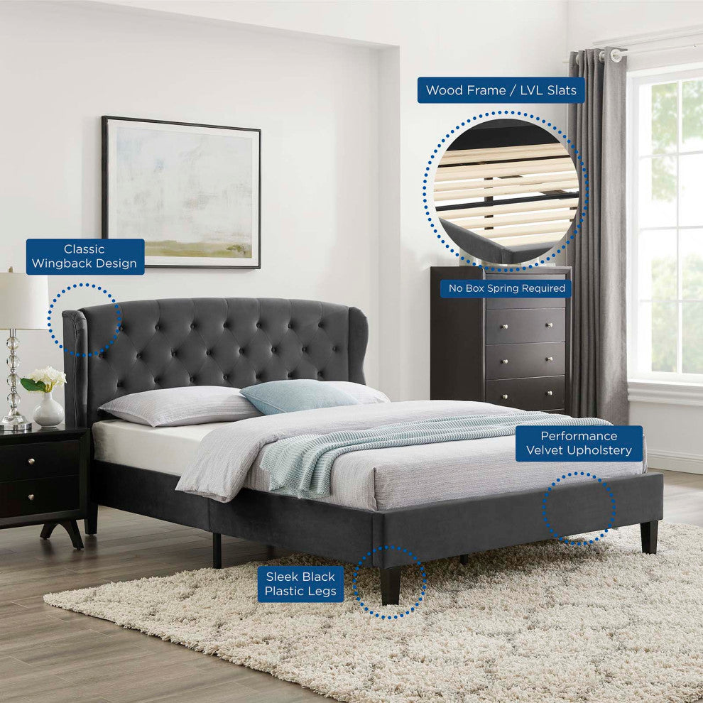 Platform Bed Frame, Queen Size, Velvet, Dark Gray, Modern Contemporary
