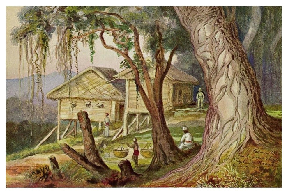 "Elefanten-Corral Lambugana, Ceylon" Paper Print by Ernst Haeckel, 20"x14"