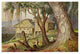 "Elefanten-Corral Lambugana, Ceylon" Paper Print by Ernst Haeckel, 20"x14"