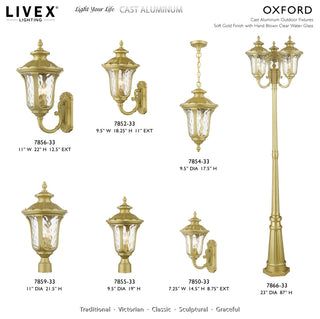 Oxford 1-Light Soft Gold Outdoor Medium Pendant Lantern