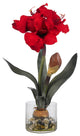 Amaryllis With Round Vase