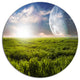 Green Field Under Bright Sunlight, Landscape Art Round Wall Art, 38"
