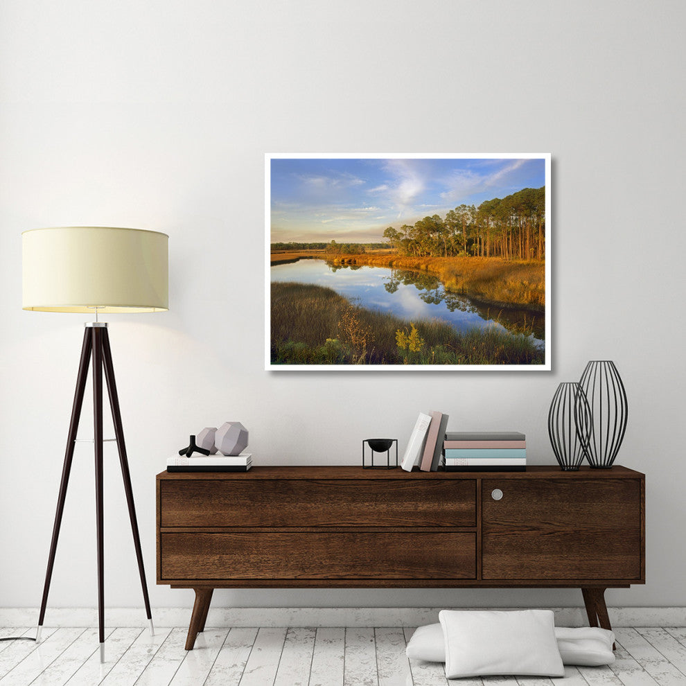 "Lake near Apalachicola, Florida" Digital Paper Print by Tim Fitzharris, 50"x38"