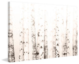 Birchwood Print on Canvas, 152x101 cm
