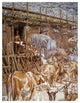 "The Animals Enter the Ark" Digital Paper Print by James Tissot, 14"x18"