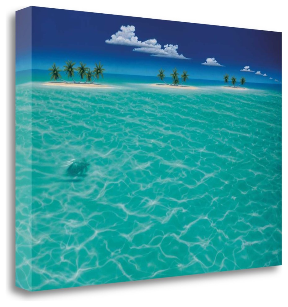 "Turtle Crossing" By Dan Mackin, Giclee Print on Gallery Wrap Canvas