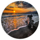 Log On Beach During Sunset, Seashore Art Disc Metal Wall Art, 36"