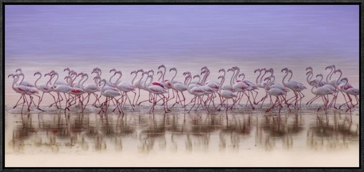 "Comrades In Color" Framed Canvas Giclee by Ahmed Thabet, 31x15"