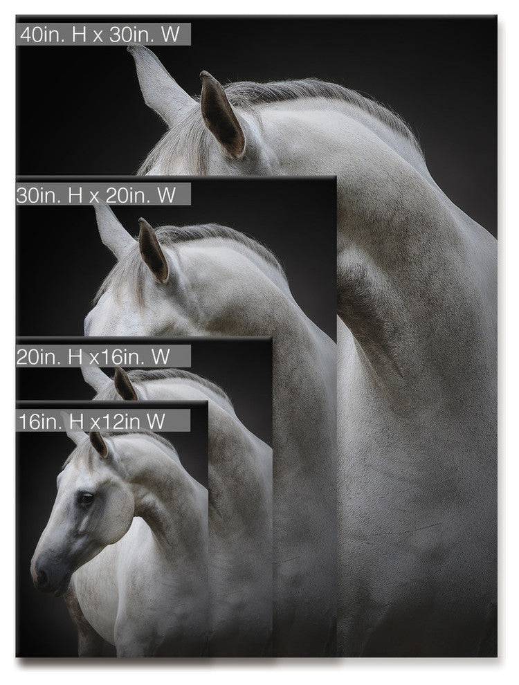 Ready2HangArt 'Maggie' Wrapped Canvas Wall Decor, 20"x30"