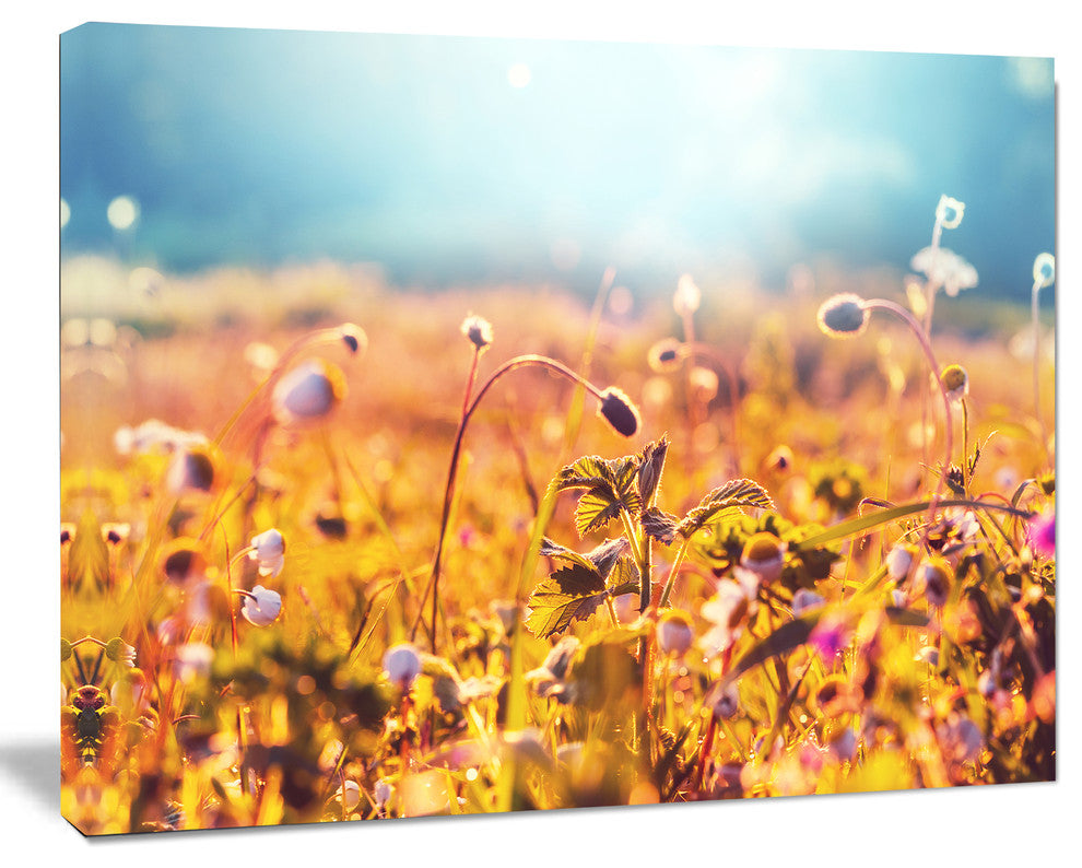 Summer Field with Beautiful Flowers, Floral Canvas Art Print, 40"x30"