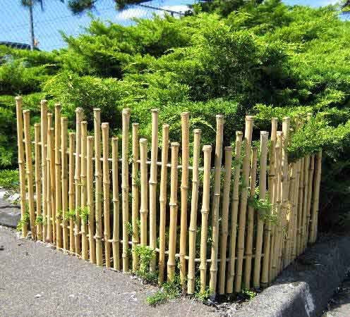 Bamboo Picket Fence, 24"