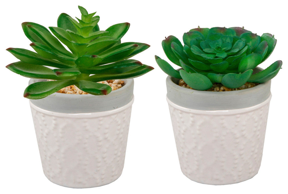 Set Of 2 Succ Wht Dress Icecram Pot