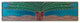 Horizontal Royal Palm Pull, Brilliant Pewter-Bright Turquoise