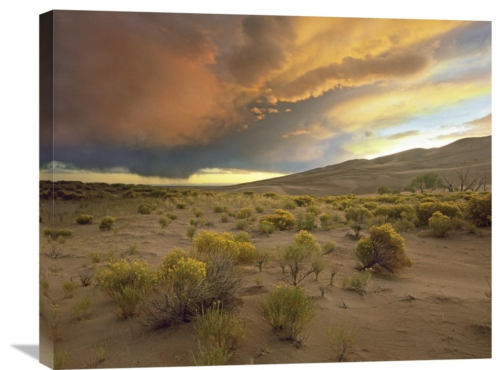 "Storm Clouds Over Great Sand Dunes National Monument, Colorado" Artwork