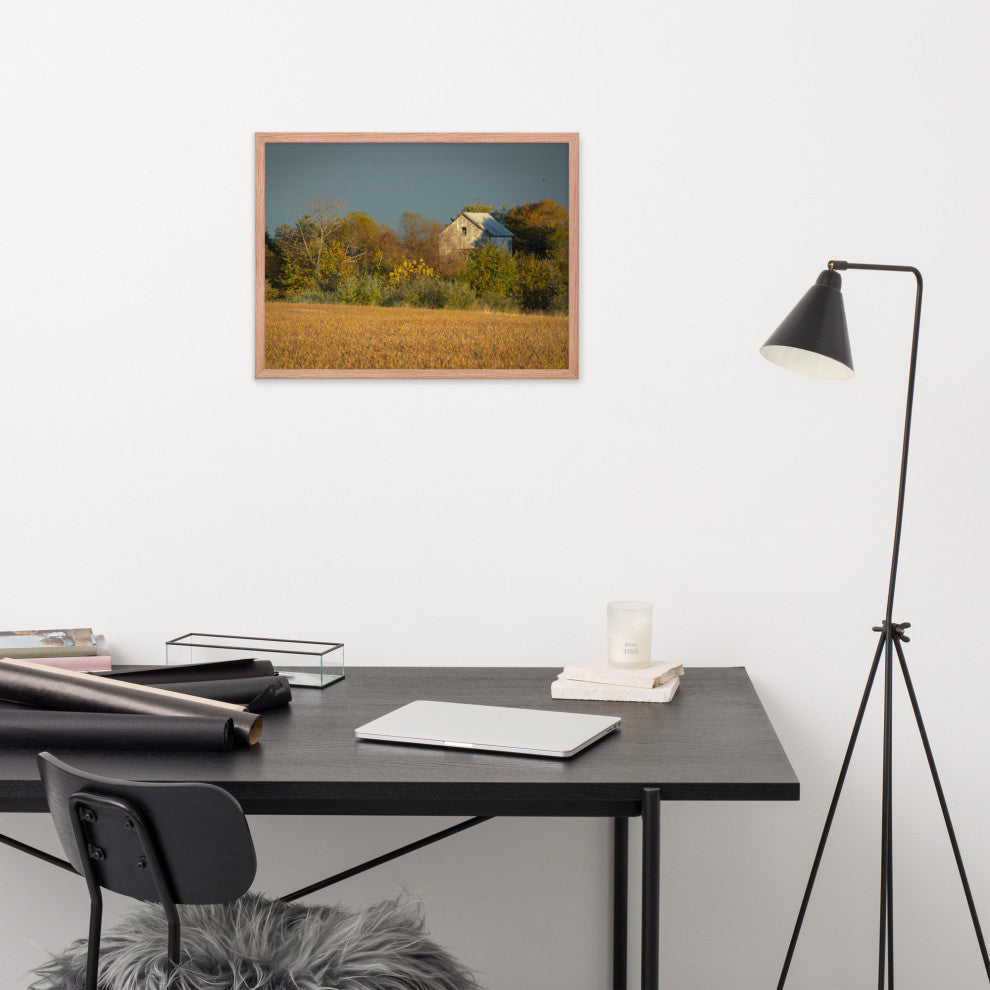 Abandoned Barn In The Trees Framed Photo Paper Wall Art Prints, Red Oak, 18" X 24"