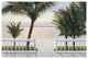 "Palm Bay" Digital Paper Print by Diane Romanello, 50"x34"