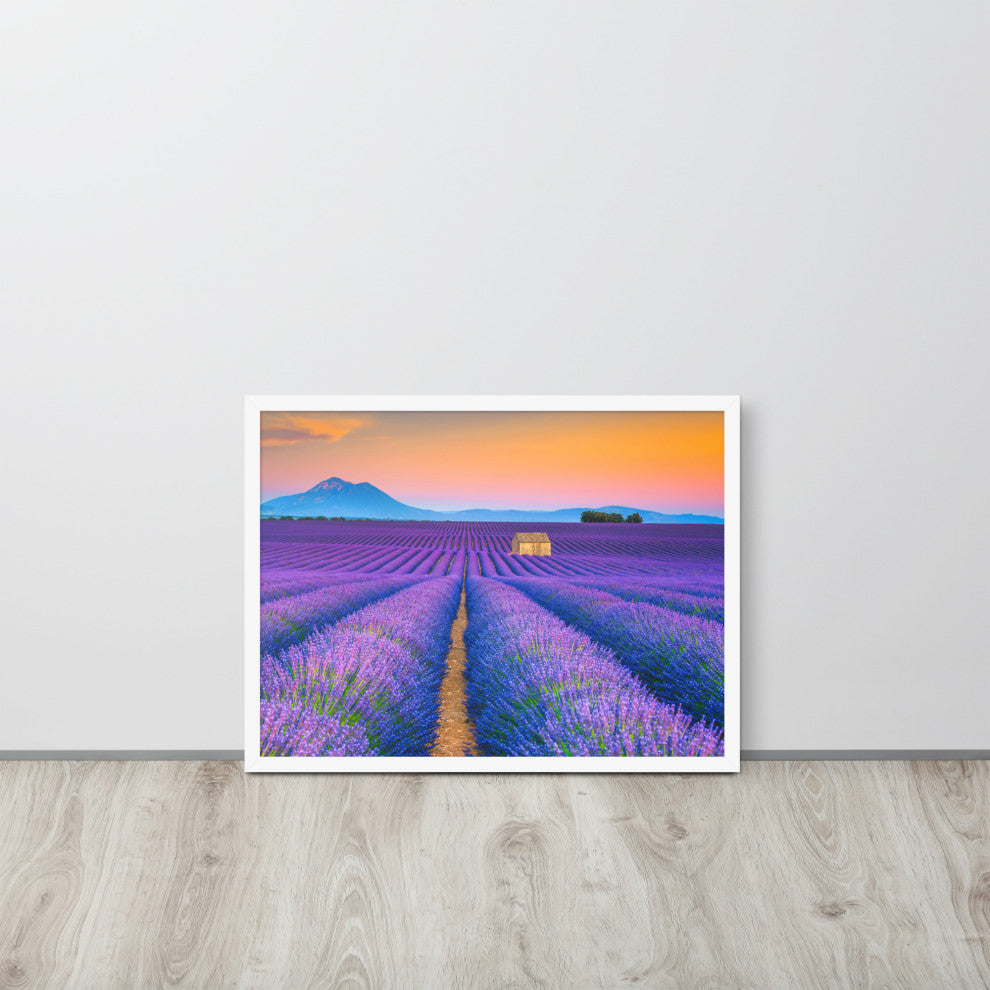 Blooming Lavender Field and Sunset Floral Landscape Framed Photo Wall Art Prints, White, 18" X 24"