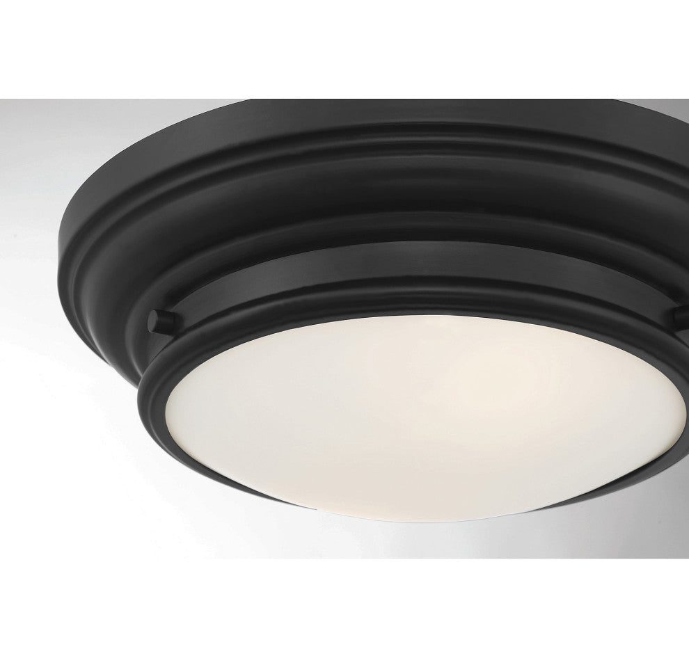 2-Light Ceiling Light, Matte Black