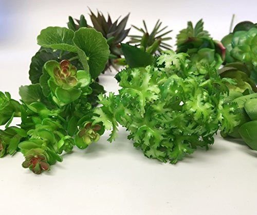 20 Long Large Stems