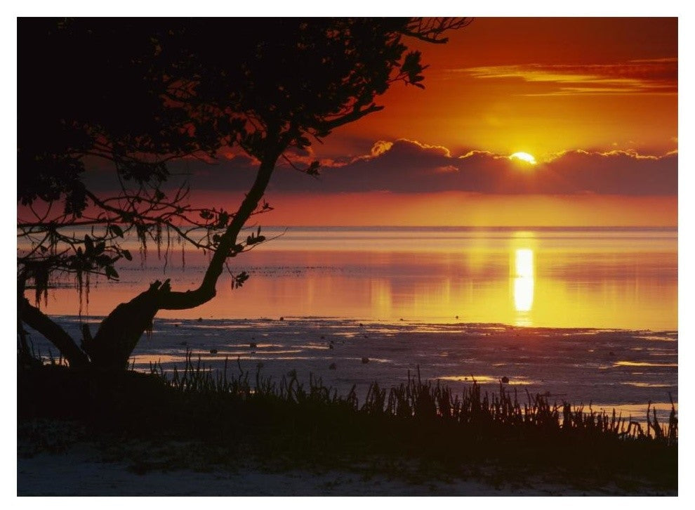 "Sunset over Anne's Beach, Florida" Paper Print by Tim Fitzharris, 18"x14"