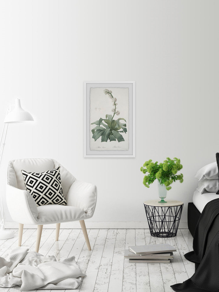 "Aletris Fragrans" Framed Painting Print, 16"x24"