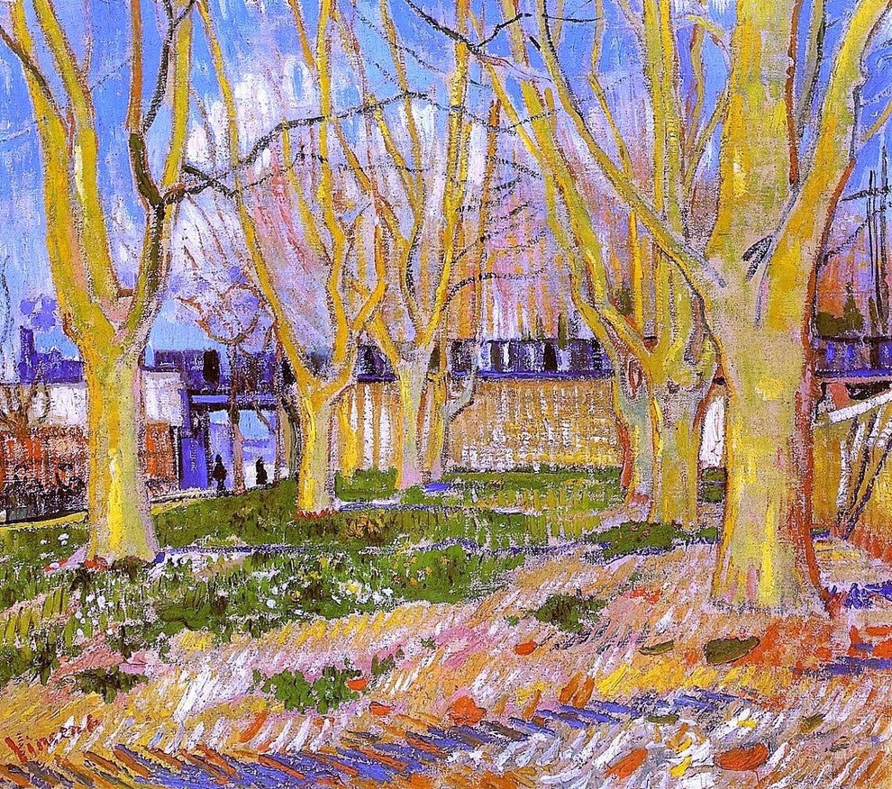 Vincent Van Gogh Avenue of Plane Trees near Arles Station Gallery Wrapped Canvas