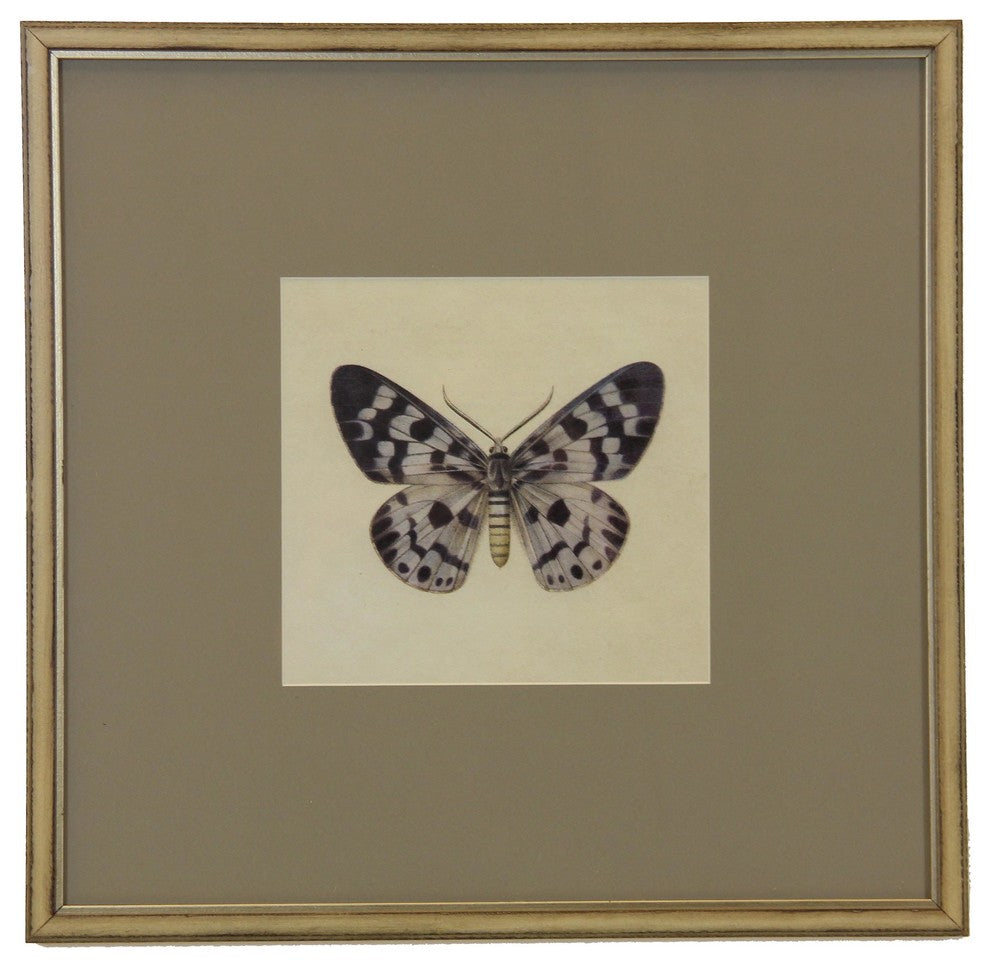 Matted Single Butterfly Print
