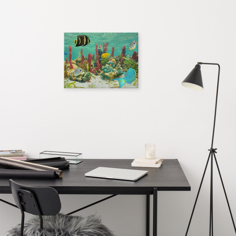 Colorful Tropical Fish Marine Life Coral Reef Wildlife Photo Canvas Art Print, 16" X 20"