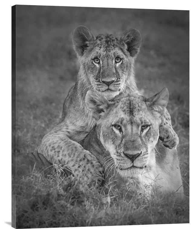 "Playtime With Mama!" Stretched Canvas Giclee by Ali Khataw, 22x28"