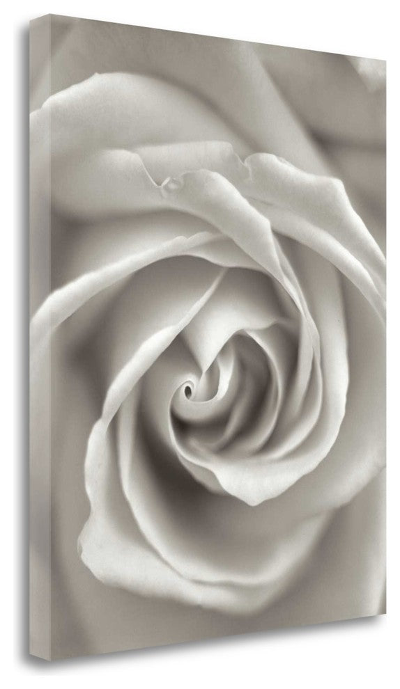 "Florison - 23" By Alan Blaustein, Giclee Print on Gallery Wrap Canvas