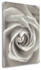 "Florison - 23" By Alan Blaustein, Giclee Print on Gallery Wrap Canvas