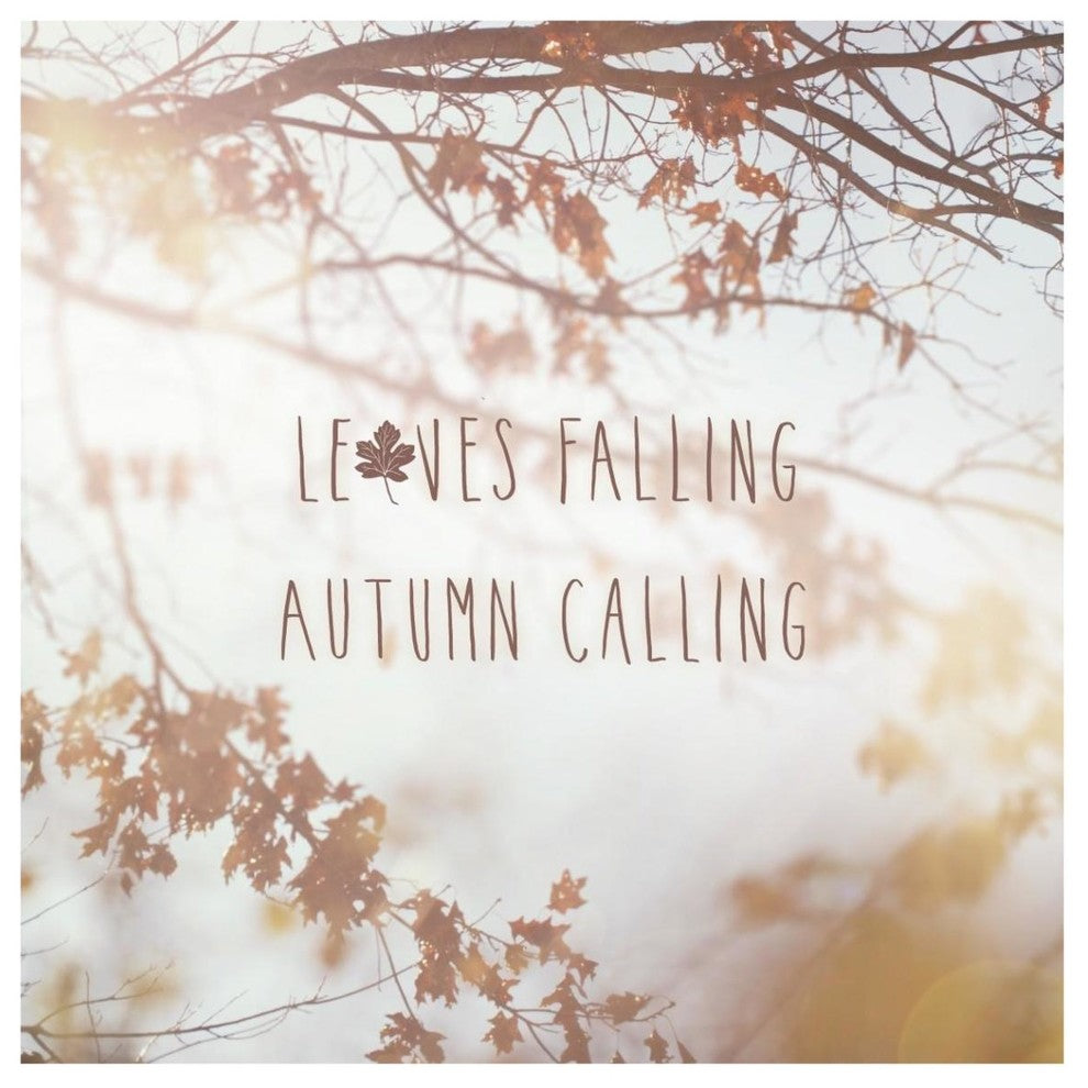 "Autumn Calling I" Digital Paper Print by Laura Marshall, 42"x42"