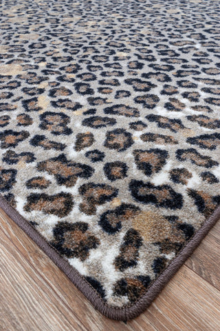 Wild Thing, 5'x8'