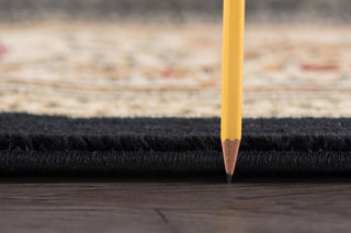 Jayden Traditional Oriental Area Rug, Black, 2'x3'