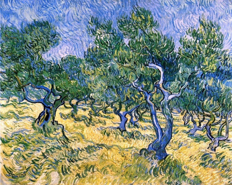 Vincent Van Gogh Olive Grove, 20"x25" Wall Decal