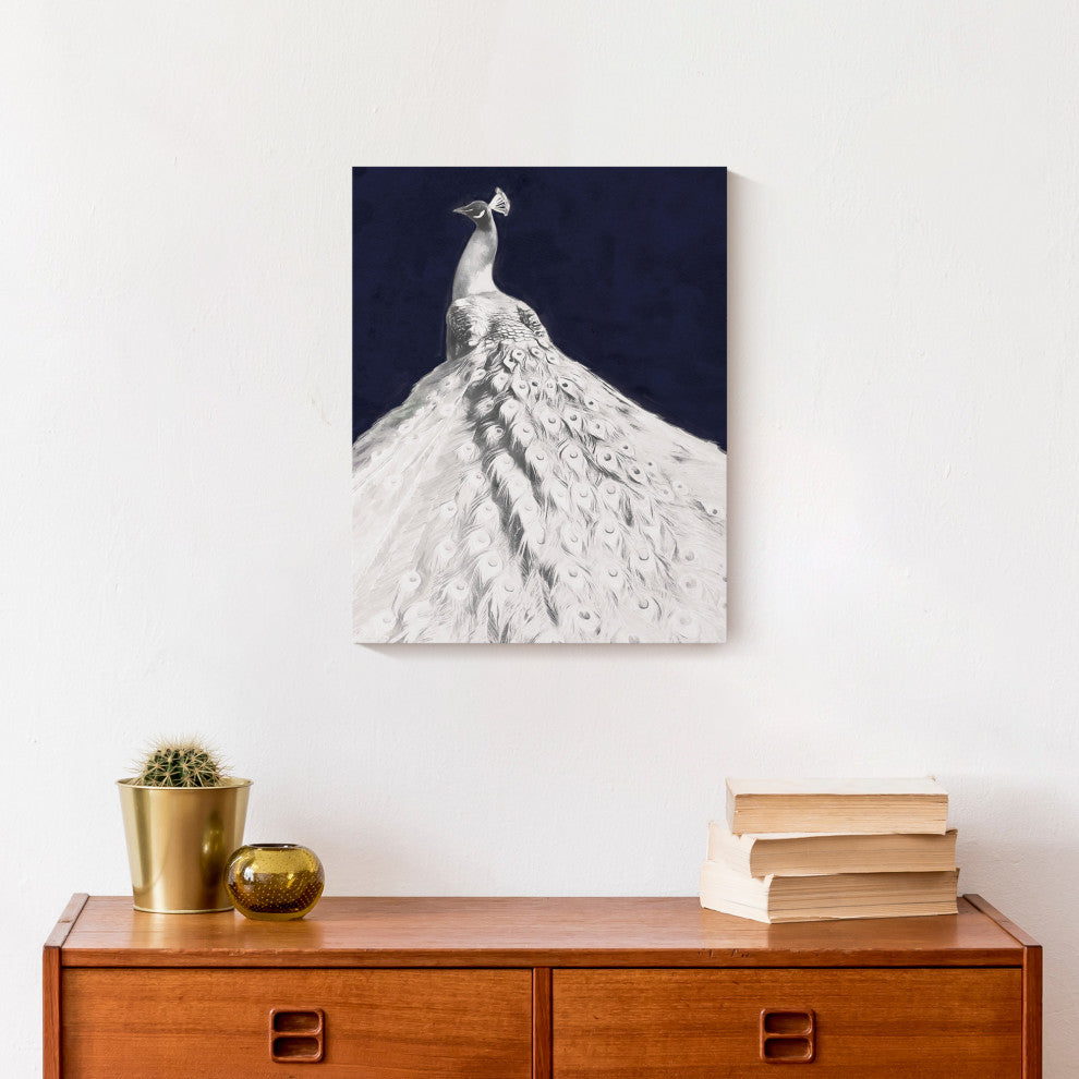 Glorious White Peacock 11x14 Canvas Wall Art