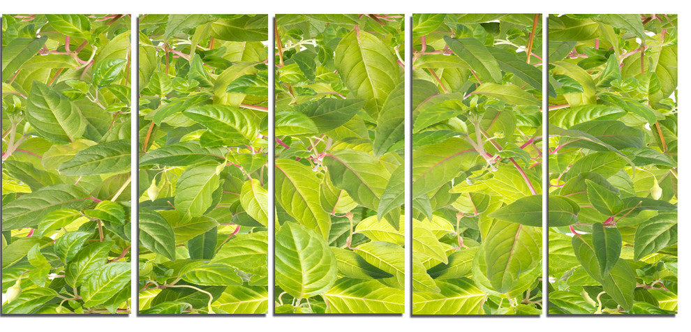 Bright Fuchsia Green Foliage, Floral Canvas Art Print, 60"x28", 5 Panels