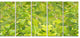 Bright Fuchsia Green Foliage, Floral Canvas Art Print, 60"x28", 5 Panels