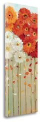 "Daisies Fall II" By Danhui Nai, Giclee Print on Gallery Wrap Canvas