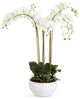 Barclay Butera Orchid In Ceramic Bowl, 30"