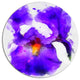 Blue Flower And Watercolor Splashes, Floral Round Metal Wall Art, 23"