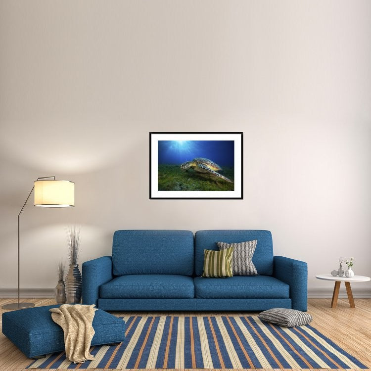 "Green Turtle" Framed Digital Print by Barathieu Gabriel, 44x32"
