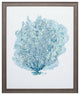 Aqua Coral on White II Framed Art