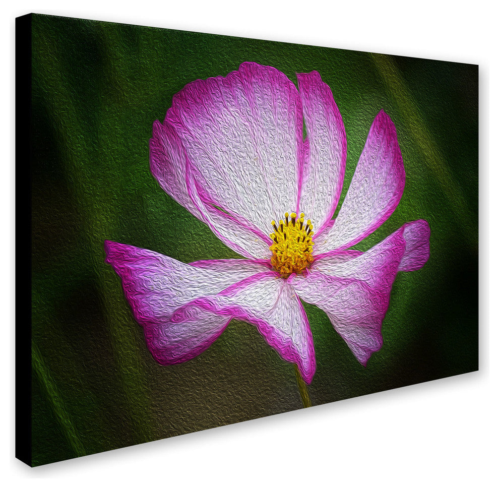 'Valentines Day' Canvas Art by Philippe Sainte-Laudy