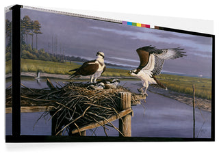 Wilhelm Goebel 'Chesapeake Treasurers Osprey' Canvas Art, 24"x12"
